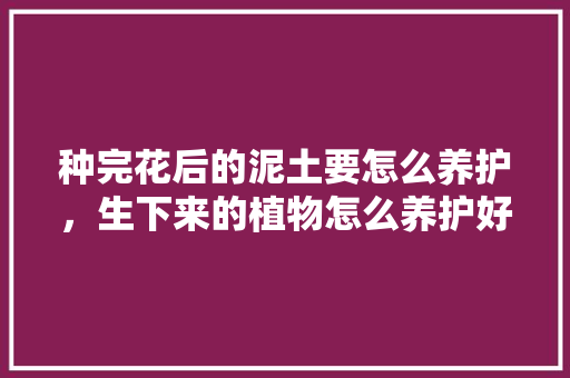 种完花后的泥土要怎么养护，生下来的植物怎么养护好。  第1张 种完花后的泥土要怎么养护，生下来的植物怎么养护好。 修剪技巧