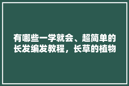 有哪些一学就会、超简单的长发编发教程，长草的植物怎么养护视频教程。