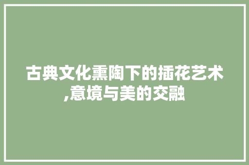 古典文化熏陶下的插花艺术,意境与美的交融 观叶植物