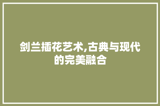 剑兰插花艺术,古典与现代的完美融合