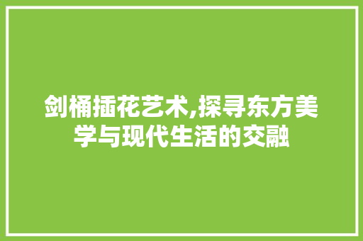 剑桶插花艺术,探寻东方美学与现代生活的交融 植物分类