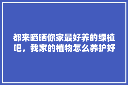 都来晒晒你家最好养的绿植吧，我家的植物怎么养护好呢作文。  第1张 都来晒晒你家最好养的绿植吧，我家的植物怎么养护好呢作文。 土壤选择