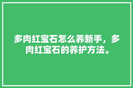 多肉红宝石怎么养新手，多肉红宝石的养护方法。