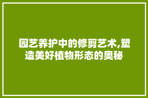 园艺养护中的修剪艺术,塑造美好植物形态的奥秘 灌溉方法