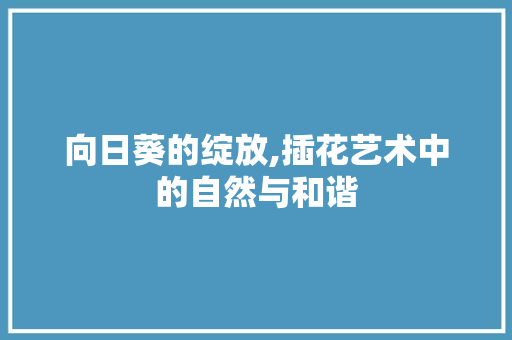 向日葵的绽放,插花艺术中的自然与和谐