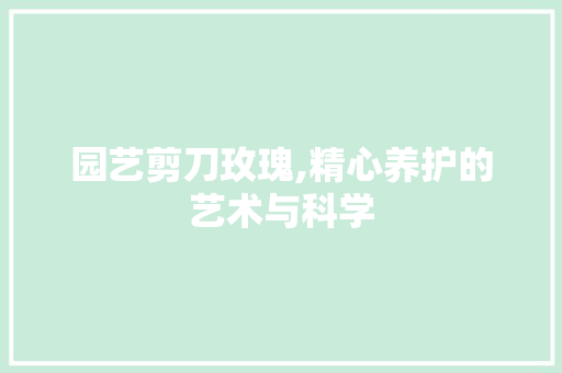 园艺剪刀玫瑰,精心养护的艺术与科学 植物养护