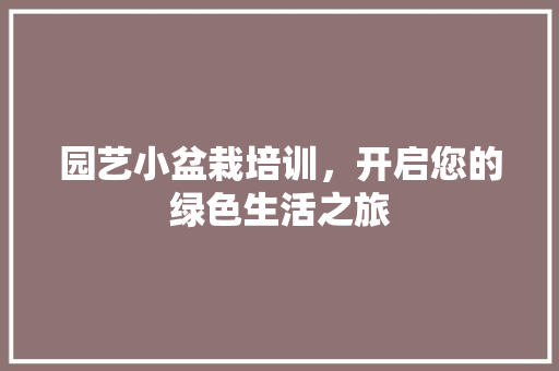 园艺小盆栽培训，开启您的绿色生活之旅 施肥方法