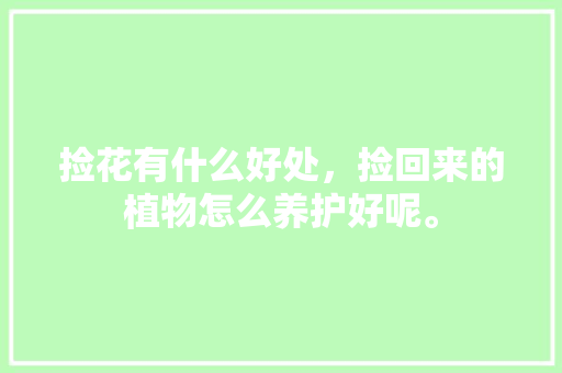 捡花有什么好处，捡回来的植物怎么养护好呢。