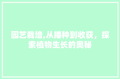 园艺栽培,从播种到收获，探索植物生长的奥秘 植物养护