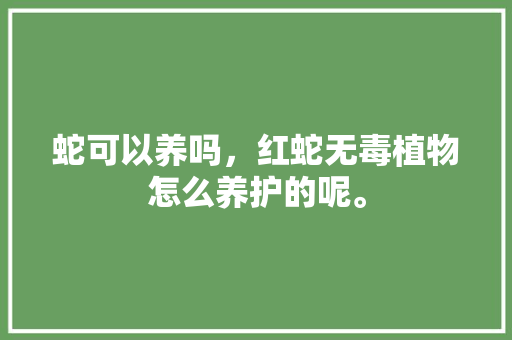 蛇可以养吗，红蛇无毒植物怎么养护的呢。