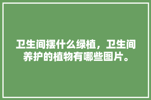 卫生间摆什么绿植，卫生间养护的植物有哪些图片。