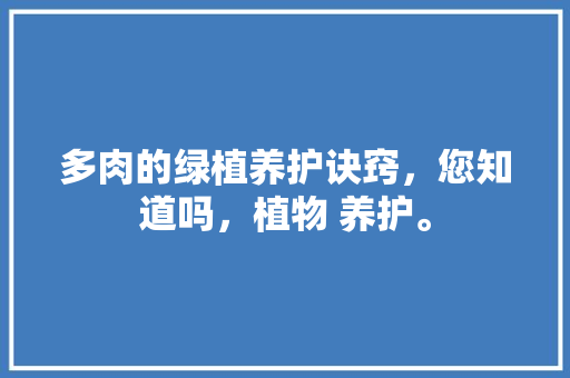 多肉的绿植养护诀窍，您知道吗，植物 养护。  第1张 多肉的绿植养护诀窍，您知道吗，植物 养护。 土壤管理