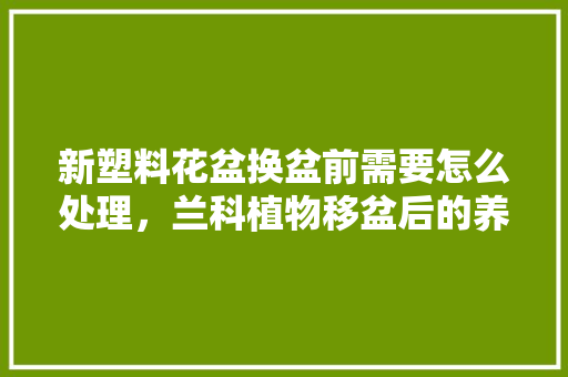 新塑料花盆换盆前需要怎么处理，兰科植物移盆后的养护方法。  第1张 新塑料花盆换盆前需要怎么处理，兰科植物移盆后的养护方法。 土壤管理