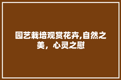 园艺栽培观赏花卉,自然之美，心灵之慰
