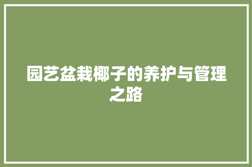 园艺盆栽椰子的养护与管理之路