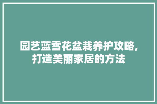 园艺蓝雪花盆栽养护攻略,打造美丽家居的方法