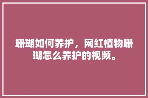 珊瑚如何养护，网红植物珊瑚怎么养护的视频。