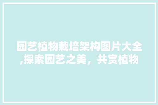 园艺植物栽培架构图片大全,探索园艺之美，共赏植物盛宴 花卉
