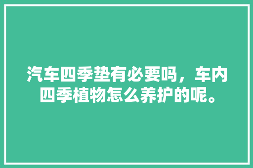 汽车四季垫有必要吗，车内四季植物怎么养护的呢。