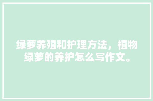绿萝养殖和护理方法，植物绿萝的养护怎么写作文。