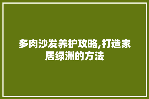 多肉沙发养护攻略,打造家居绿洲的方法 花卉