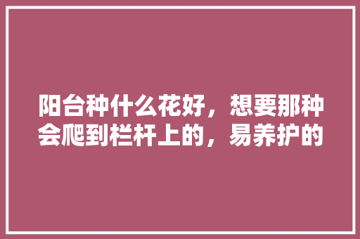 阳台种什么花好，想要那种会爬到栏杆上的，易养护的阳台植物有哪些图片。  第1张 阳台种什么花好，想要那种会爬到栏杆上的，易养护的阳台植物有哪些图片。 树木