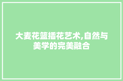 大麦花篮插花艺术,自然与美学的完美融合 植物分类