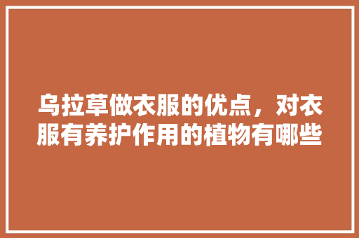 乌拉草做衣服的优点，对衣服有养护作用的植物有哪些。