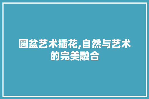 圆盆艺术插花,自然与艺术的完美融合 爬藤植物