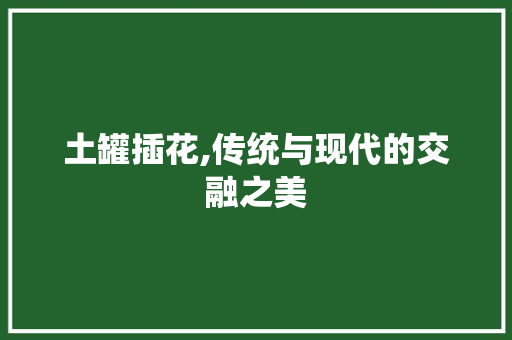 土罐插花,传统与现代的交融之美 土壤选择