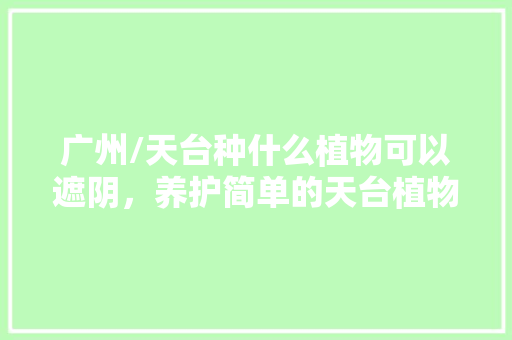 广州/天台种什么植物可以遮阴，养护简单的天台植物图片大全。