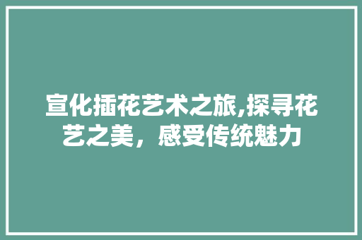 宣化插花艺术之旅,探寻花艺之美，感受传统魅力 养护技巧