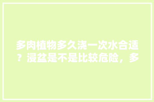 多肉植物多久浇一次水合适？浸盆是不是比较危险，多肉多浆的植物有哪些。  第1张 多肉植物多久浇一次水合适？浸盆是不是比较危险，多肉多浆的植物有哪些。 修剪技巧