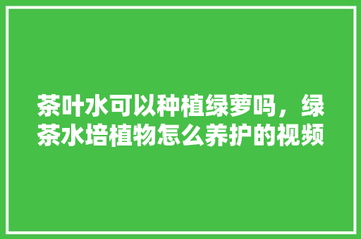 茶叶水可以种植绿萝吗，绿茶水培植物怎么养护的视频。