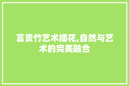 富贵竹艺术插花,自然与艺术的完美融合