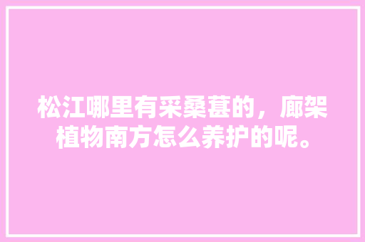松江哪里有采桑葚的，廊架植物南方怎么养护的呢。
