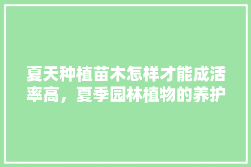 夏天种植苗木怎样才能成活率高，夏季园林植物的养护措施。