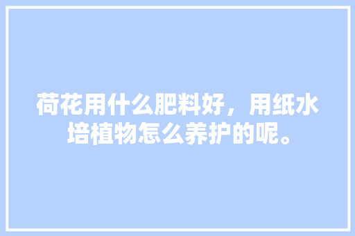 荷花用什么肥料好，用纸水培植物怎么养护的呢。  第1张 荷花用什么肥料好，用纸水培植物怎么养护的呢。 植物分类
