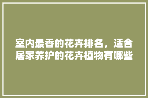 室内最香的花卉排名，适合居家养护的花卉植物有哪些。