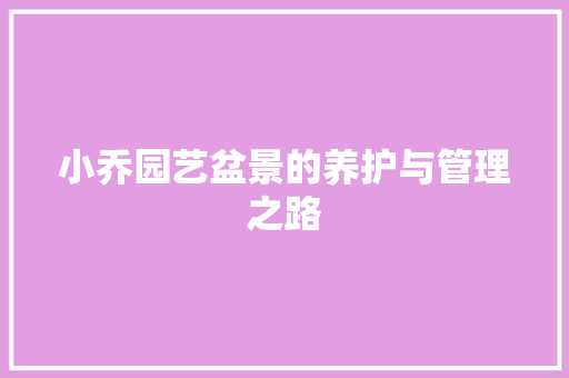 小乔园艺盆景的养护与管理之路