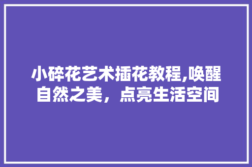 小碎花艺术插花教程,唤醒自然之美，点亮生活空间