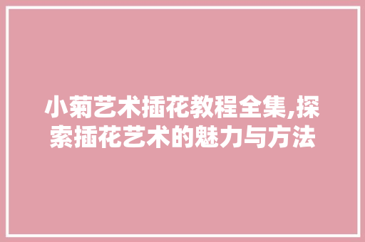 小菊艺术插花教程全集,探索插花艺术的魅力与方法 园艺知识