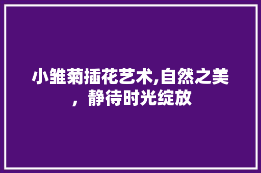 小雏菊插花艺术,自然之美，静待时光绽放 爬藤植物