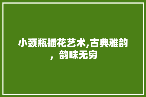 小颈瓶插花艺术,古典雅韵，韵味无穷 花卉