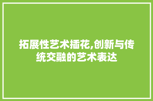 拓展性艺术插花,创新与传统交融的艺术表达
