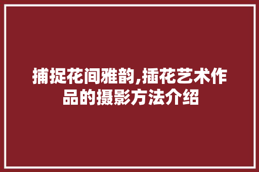 捕捉花间雅韵,插花艺术作品的摄影方法介绍