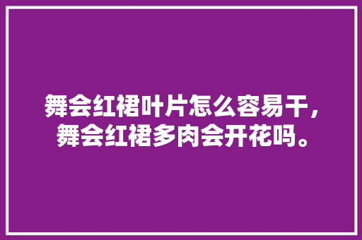 舞会红裙叶片怎么容易干，舞会红裙多肉会开花吗。