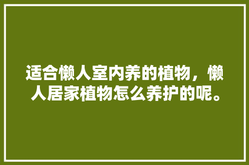 适合懒人室内养的植物，懒人居家植物怎么养护的呢。