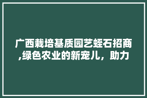 广西栽培基质园艺蛭石招商,绿色农业的新宠儿，助力乡村振兴