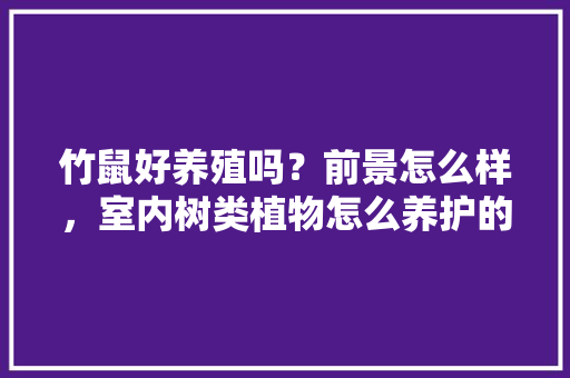 竹鼠好养殖吗？前景怎么样，室内树类植物怎么养护的呢。